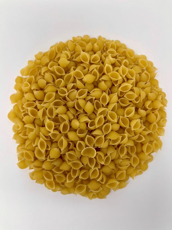 Conchiglie blé blanc bio  - 1